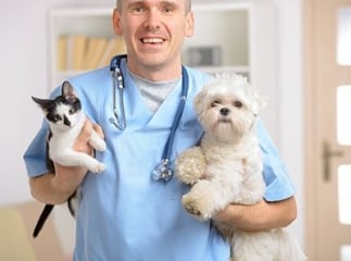 assurance animaux